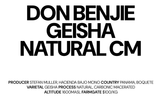 Don Benjie Geisha Natural CM