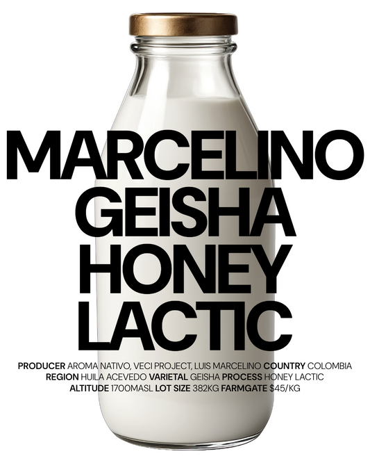 Aroma Nativo Luis Marcelino Geisha Honey Lactic