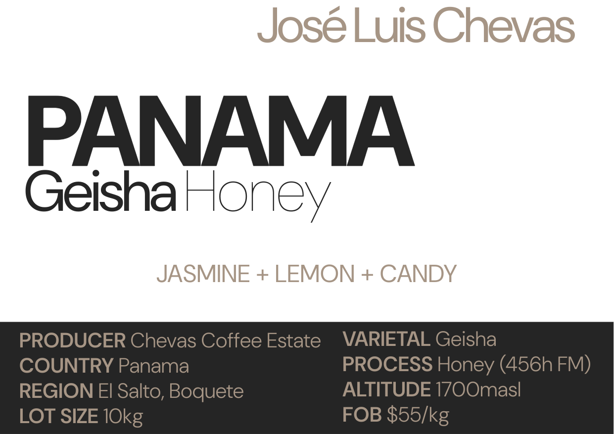 Panama Geisha Honey