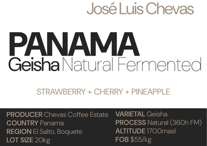 Panama Geisha Natural Fermentation